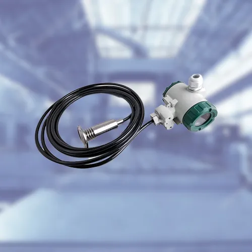 RB21P Hygienic Pressure Transmitters